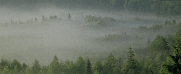 M. K. ČIURLIONIS. MIŠKE