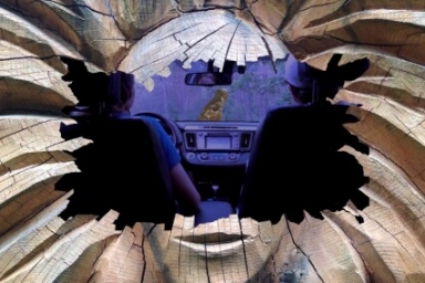 Renowned German short film festival to showcase Lithuanian short films from the past two decades